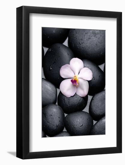 White Orchid with Therapy Stones-crystalfoto-Framed Photographic Print