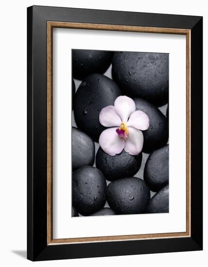 White Orchid with Therapy Stones-crystalfoto-Framed Photographic Print