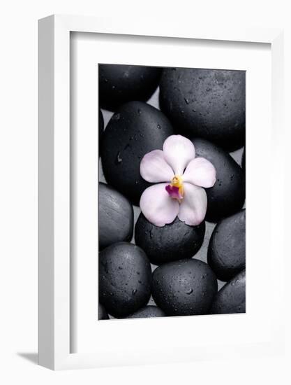 White Orchid with Therapy Stones-crystalfoto-Framed Photographic Print