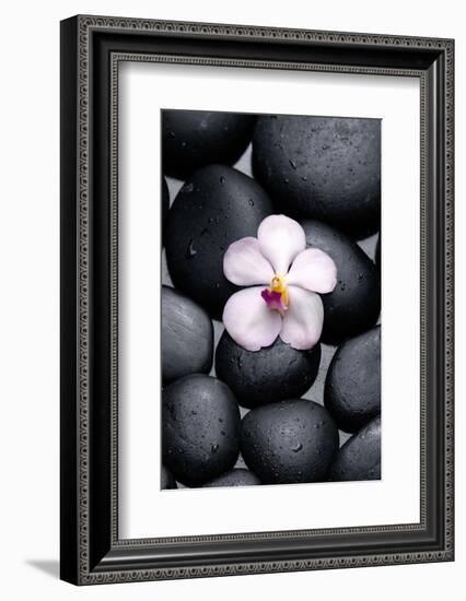 White Orchid with Therapy Stones-crystalfoto-Framed Photographic Print