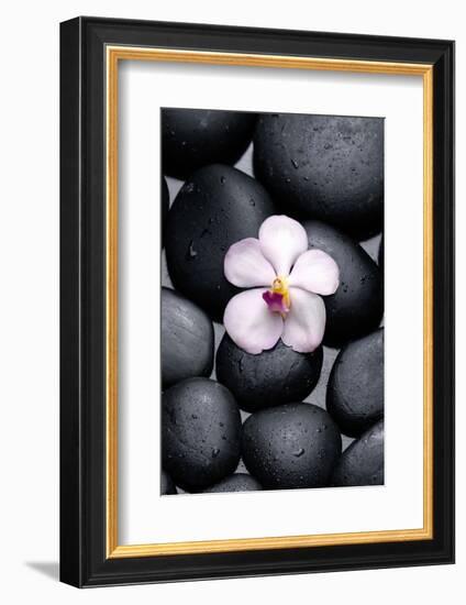 White Orchid with Therapy Stones-crystalfoto-Framed Photographic Print