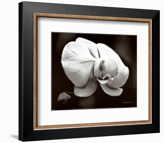 White Orchid-Harold Silverman-Framed Art Print