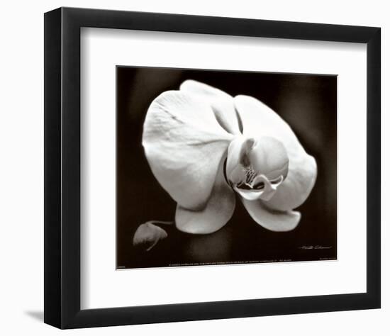 White Orchid-Harold Silverman-Framed Art Print