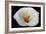 White Orchid-null-Framed Photo