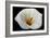 White Orchid-null-Framed Photo