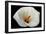 White Orchid-null-Framed Photo