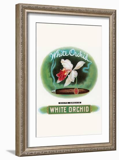 White Orchid-null-Framed Art Print