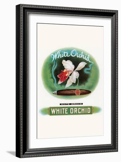 White Orchid-null-Framed Art Print