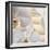 White Orchids I-Nicole Katano-Framed Photo