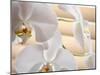 White Orchids III-Nicole Katano-Mounted Photo