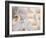 White Orchids III-Nicole Katano-Framed Photo