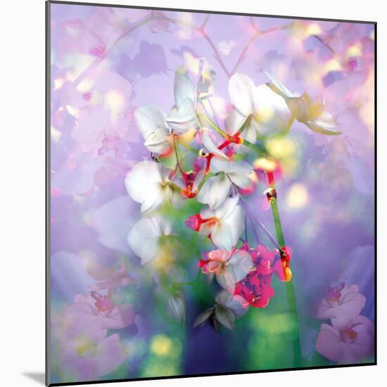 White Orchids in a Vase with Dreamy Texture-Alaya Gadeh-Mounted Photographic Print
