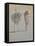 White Ostrich Ballet-Lincoln Seligman-Framed Premier Image Canvas