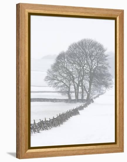 White Out-Doug Chinnery-Framed Premier Image Canvas