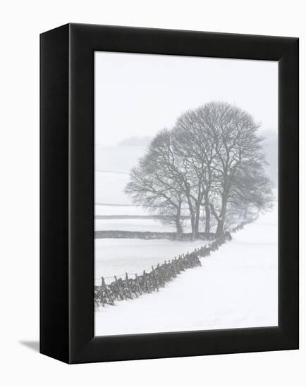White Out-Doug Chinnery-Framed Premier Image Canvas