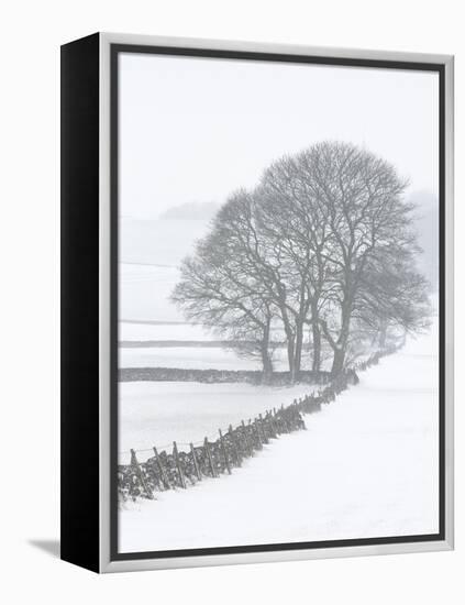 White Out-Doug Chinnery-Framed Premier Image Canvas