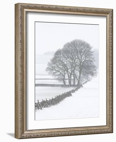 White Out-Doug Chinnery-Framed Photographic Print