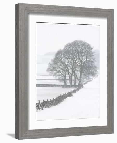 White Out-Doug Chinnery-Framed Photographic Print