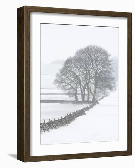 White Out-Doug Chinnery-Framed Photographic Print
