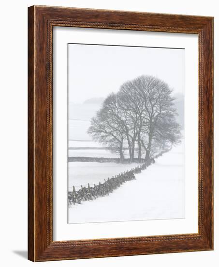 White Out-Doug Chinnery-Framed Photographic Print