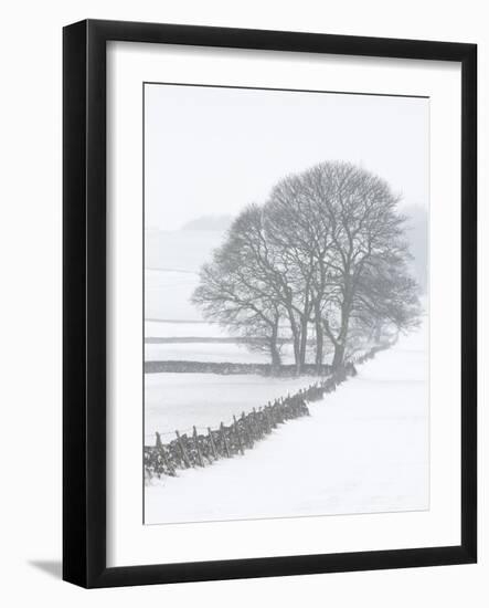 White Out-Doug Chinnery-Framed Photographic Print