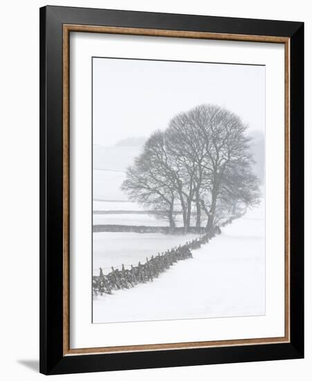 White Out-Doug Chinnery-Framed Photographic Print