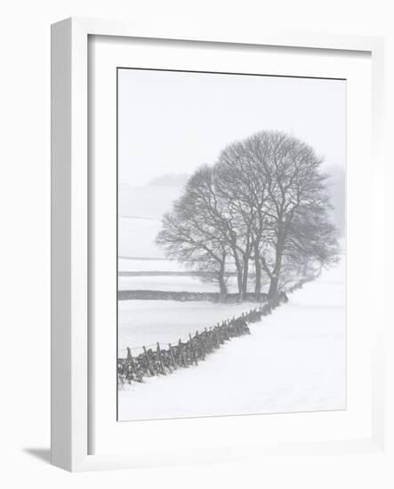 White Out-Doug Chinnery-Framed Photographic Print