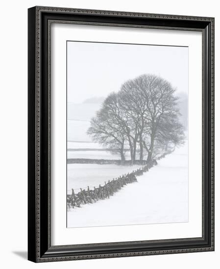 White Out-Doug Chinnery-Framed Photographic Print