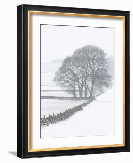 White Out-Doug Chinnery-Framed Photographic Print