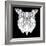 White Owl Mesh-Lisa Kroll-Framed Art Print