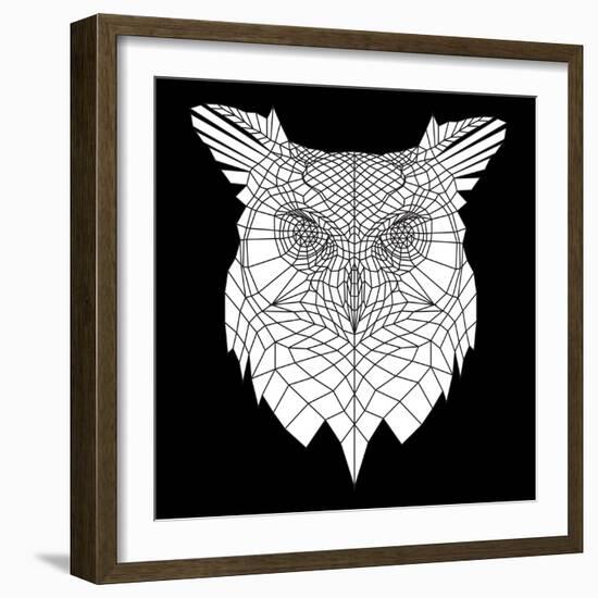 White Owl Mesh-Lisa Kroll-Framed Art Print