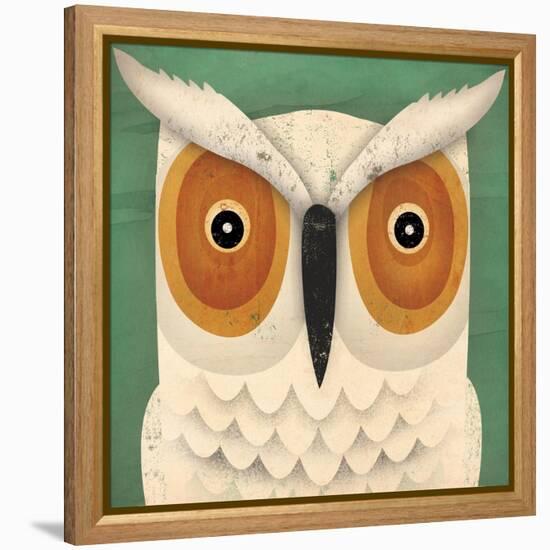 White Owl-Ryan Fowler-Framed Stretched Canvas