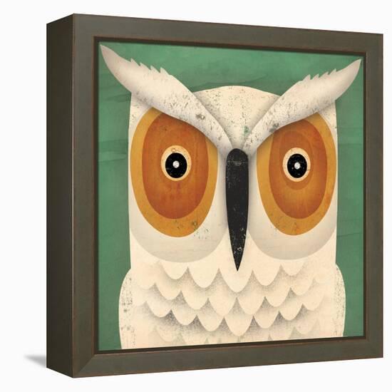 White Owl-Ryan Fowler-Framed Stretched Canvas