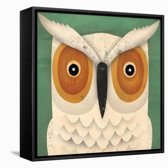 White Owl-Ryan Fowler-Framed Stretched Canvas