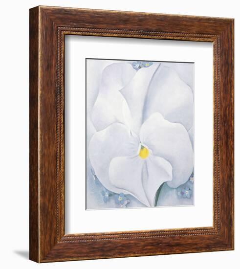 White Pansy, c.1927-Georgia O'Keeffe-Framed Art Print