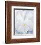 White Pansy, c.1927-Georgia O'Keeffe-Framed Art Print