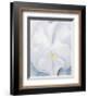 White Pansy, c.1927-Georgia O'Keeffe-Framed Art Print