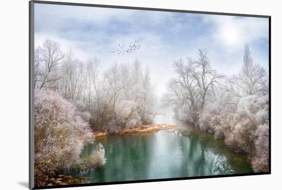 White Paradise-Philippe Sainte-Laudy-Mounted Photographic Print