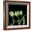 White Parrot Tulips-Magda Indigo-Framed Photographic Print