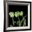 White Parrot Tulips-Magda Indigo-Framed Photographic Print