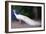 White Peacock, 2018,-Helen White-Framed Giclee Print