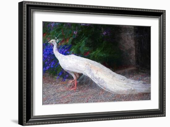 White Peacock, 2018,-Helen White-Framed Giclee Print