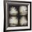 White Peacock Four times-Theo Westenberger-Framed Photographic Print