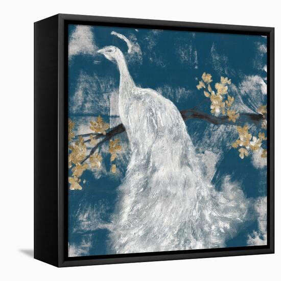 White Peacock on Indigo II-Jennifer Goldberger-Framed Stretched Canvas