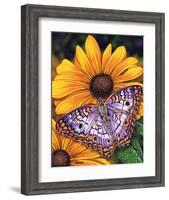 White Peacock-Marilyn Barkhouse-Framed Art Print