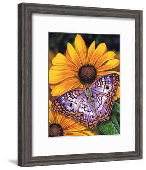 White Peacock-Marilyn Barkhouse-Framed Art Print