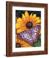 White Peacock-Marilyn Barkhouse-Framed Art Print