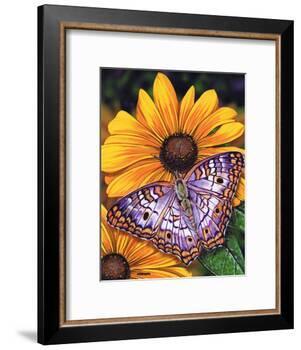 White Peacock-Marilyn Barkhouse-Framed Art Print