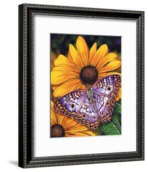 White Peacock-Marilyn Barkhouse-Framed Art Print