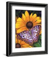 White Peacock-Marilyn Barkhouse-Framed Art Print